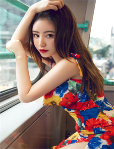 踏雪寻梅观